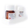 Granulotec 20 г+15 мл- Паста для постоянной обтурации инфицированных корневых каналов, PD 0001912350 - фото 321742