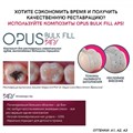 Opus Bulk Fill APS A2, шприц (4гр), FGM 1231914425 - фото 324786