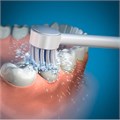 Наконечники Waterpik TB-100E насадки-щетки для WP-100, WP-260, WP-300, WP-660 0001916444 - фото 327153