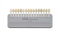Расцветка VITA (Вита) 00000000739 - фото 328701