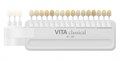 Расцветка VITA classical A1-D4 классическая с отбеленными оттенками 0001916679 - фото 328704