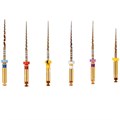 Gold-Taper S2, 25мм (6шт.)-машинный инструмент для обработки корневых каналов, Геософт 1231913871 - фото 331477