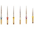Gold-Taper S2, 31мм (6шт.)-машинный инструмент для обработки корневых каналов, Геософт 1231914321 - фото 331479