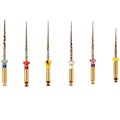 Gold-Taper Ассорти 31мм (SX(19мм),S1(25мм),S2,F1,F2,F3)-машинный инструмент для обработки корневых каналов 1231914323 - фото 331487
