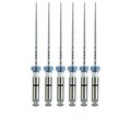 FlexMaster Тейпер NiTi №45 02 L25, VDW 1231911224 - фото 332841