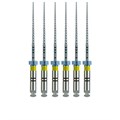 FlexMaster Тейпер NiTi №50 02 L25, VDW 1231911225 - фото 332846