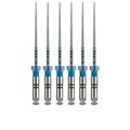 FlexMaster Тейпер NiTi №60 02 L25, VDW 1231911226 - фото 332851