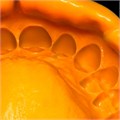 Oranwash L-корригирующий слой для Зета+, С100660, Zhermack 00000910100 - фото 335048