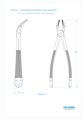 Asa Dental 0100-31 - щипцы N31 для нижних корней и резцов с зубчиками 0100-31 - фото 351237