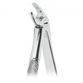 Asa Dental W0160-4 - щипцы N4 для удаления зубов для нижних резцов и клыков с зубчиками (серия для женщин Asa Lady) W0160-4 - фото 351303