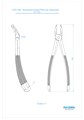 Asa Dental 0100-166 - щипцы N166 для удаления зубов верхних универсальные для моляров и премоляров с зубчиками 0100-166 - фото 351438