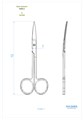 Asa Dental 0300-2 - ножницы для десны N2 изогнутые по плоскости, 12 см 0300-2 - фото 351586