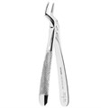 Asa Dental 0100-51A - щипцы N51A байонеты штыковидные для верхних корней с зубчиками 0100-51A - фото 351708