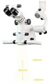 Микроскоп операционный Zumax OMS 2380 (cо встроенной камерой) 283V0740 - фото 356328