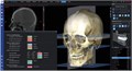 Программное обеспечение Planmeca Romexis 3D Cephalometric Analysis, лицензия на 1 пользователя FE004915 - фото 357505