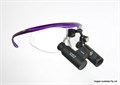 Бинокуляры Hogies MaximEyes Prismatic Loupes 6.0X (350 & 450) MXP6.0 - фото 358744