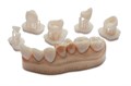 Фотополимер Formlabs Permanent Crown Resin A2 (Dental only) (для изготовления постоянных коронок) st780909 - фото 360893