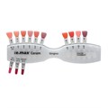 IPS e.max Ceram Gingiva Shade Guide - расцветка десневых масс 602464 - фото 364704