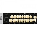 Зубы Major B3 70N жевательный низ, 8 шт (Super Lux). st553654 - фото 364959