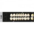 Зубы Major C1 1/60 жевательный верх, 8 шт (Super Lux) st183179 - фото 365022