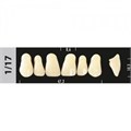 Зубы Major D2 1/17, 28 шт (Super Lux) st404897 - фото 365163
