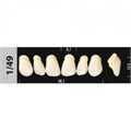 Зубы Major D4 1/49, 28 шт (Super Lux) st623156 - фото 365296