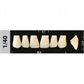 Зубы Major A1 1/40, 28 шт (Super Lux). st905367 - фото 366515