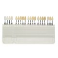 A-D shade guide Ivoclar komplett - комплект расцветок (16 и 4 цвета) 628587 - фото 366645