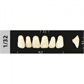 Зубы Major A4 1/32, 28 шт (Super Lux) st928145 - фото 367383