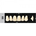 Зубы Major D4 59, 28 шт (Super Lux) st364990 - фото 367389