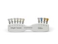 IPS Style Ceram Shade Guide Incisal/Transpa - расцветка 674208 - фото 369173