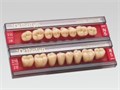 Зубы AcryRock Набор из 8 зубов жеват.низ D-41 цвет A2 st650921 - фото 369289
