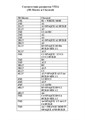 Базовый дентин VM13 12 г цвет 3L1.5. B4504312 - фото 369899