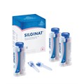 Silginat Normal pack13846 Silginat Normal pack (6 x 50 ml, 6 mixing tips): Стоматологический А-силикон среднетекучий. 13846 - фото 376905