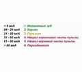 EndoEst-5F (AЭ-01) - ЭОД, депофорез, электрофорез, апекслокация, анодная стерилизация ГЕ40D-5F - фото 378807
