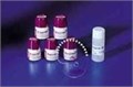 Duceram Plus модификатор в отдельных упаковках Modifier: Mango 20 г, арт: 5361055063 5361055063 - фото 380835