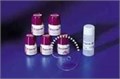Duceram Plus хромадентин в упаковках Chromadentin: CD B4 75г., арт: 5361013085 5361013085 - фото 385774
