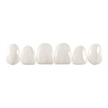 Componeer Set upper - гарнитур виниров для верхней челюсти (11, 12, 13, 21, 22, 23), размер M, цвет W/O (Enamel White-Opalescent), 6 шт 1312 - фото 386895