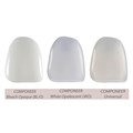Componeer Set upper - виниры для верхних первых премоляров (14/24), размер L, Enamel Universal, 2 шт 60014394 - фото 387114