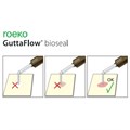 Guttaflow Bioseal - биоактивный материал с биокерамикой для обтурации канала 60019560 - фото 391646