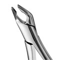 Щипцы #151 Apical, для удаления, апикальные, универсальные, нижние резцы, клыки, премоляры и корни FAF151 - фото 395770