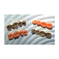 Восковые окклюзионные модели Refill 34-37, нижняя часть, левая сторона, 25 шт 01-6040 - фото 399711