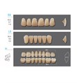 Kaifeng - зубы акриловые 28*1/ A3, S3 (1 гарнитур) A3S3/L5/30_Kaifeng - фото 399995