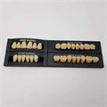 Kaifeng - зубы акриловые, верхние O5, овальные, цвет A1, коробка 4х28 шт A1O5/L8/34_Kaifeng - фото 400009