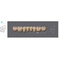 Kaili - зубы акриловые 8*1/ A2, 32L (1 планка) A232L_Kaili - фото 400020