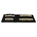 Kaifeng - зубы акриловые 28*1/ C1, S5 (1 гарнитур) C1S5/L5/32_Kaifeng - фото 400033