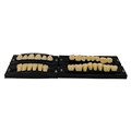 Kaifeng - зубы акриловые 28*1/ A3.5, T9 (1 гарнитур) A3.5T9/L11/32_Kaifeng - фото 400036