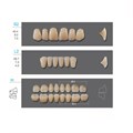 Kaili - зубы акриловые, верхние S2/нижние L2, цвет B1, размер 30, коробка 4х28 шт B1S2/L2/30_Kaili - фото 400060