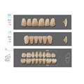 Kaifeng - зубы акриловые, верхние S3, цвет D2, коробка 4х28 шт D2S3/L5/30_Kaifeng - фото 400061
