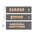 Kaifeng - зубы акриловые, верхние S3, цвет C4, коробка 4х28 шт C4S3/L5/30_Kaifeng - фото 400067